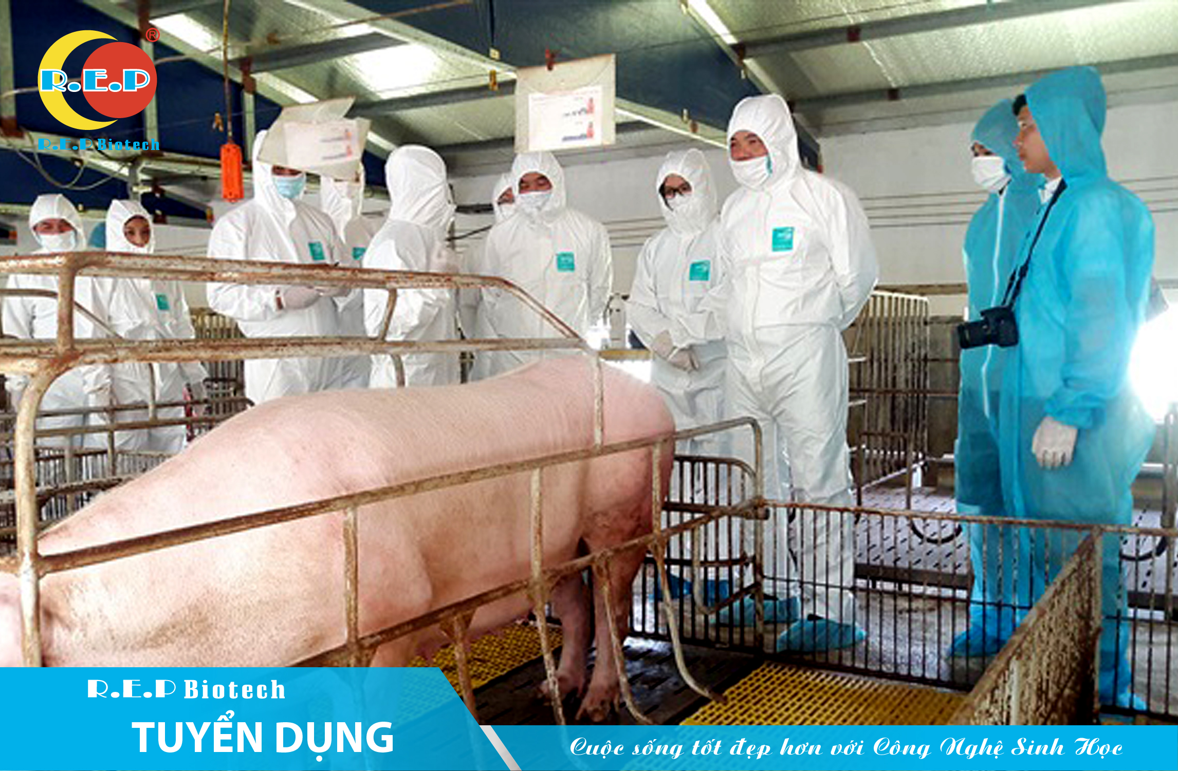 R.E.P BIOTECH TUYỂN DỤNG KỸ THUẬT TRẠI