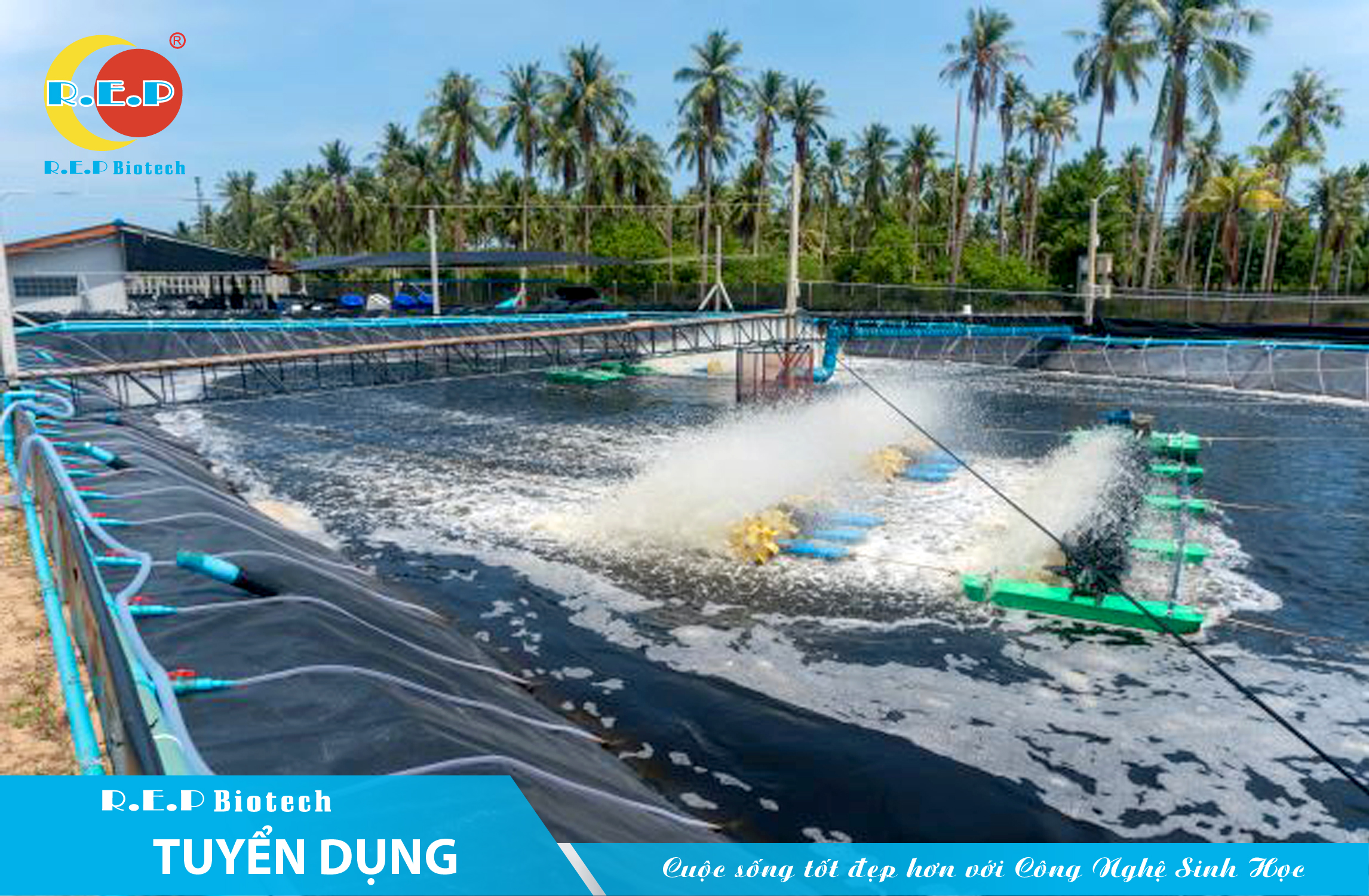 R.E.P AQUA TUYỂN DỤNG 20 NHÂN VIÊN KINH DOANH THỦY SẢN KHU VƯC MIỀN TÂY