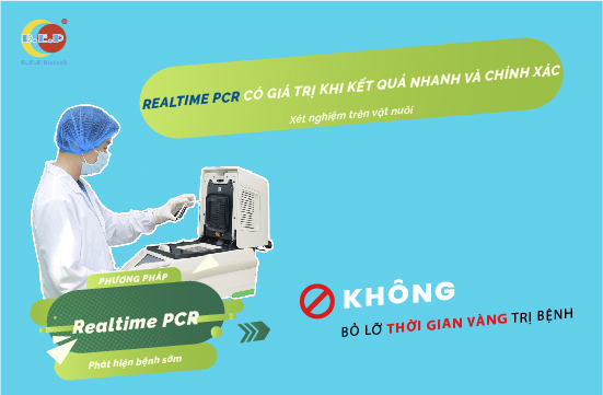 REALTIME PCR CÓ GIÁ TRỊ KHI KẾT QUẢ NHANH VÀ CHÍNH XÁC!
