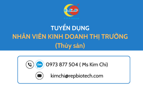 NHÂN VIÊN KINH DOANH THỊ TRƯỜNG (THỦY SẢN)