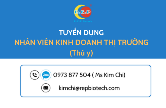 NHÂN VIÊN KINH DOANH THỊ TRƯỜNG (THÚ Y)