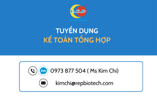 NHÂN VIÊN KẾ TOÁN TỔNG HỢP