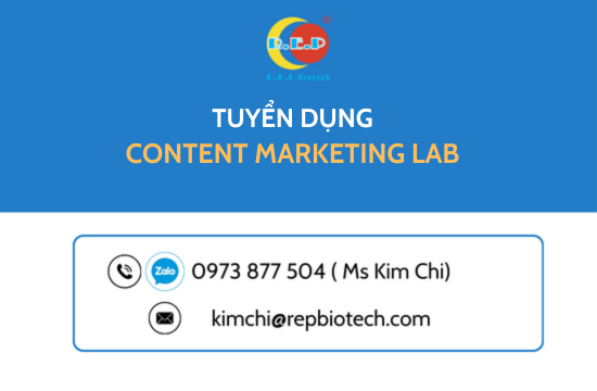 CONTENT MARKETING LAB