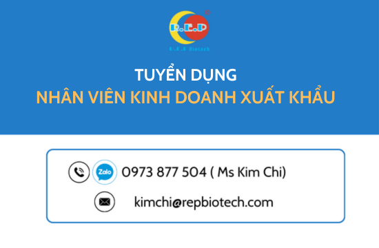 NHÂN VIÊN KINH DOANH XUẤT KHẨU