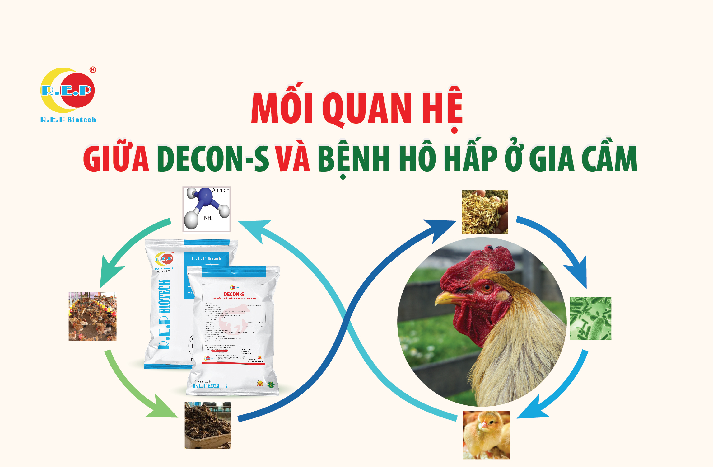 MỐI QUAN HỆ GIỮA DECON-S VÀ BỆNH HÔ HẤP TRÊN GIA CẦM?