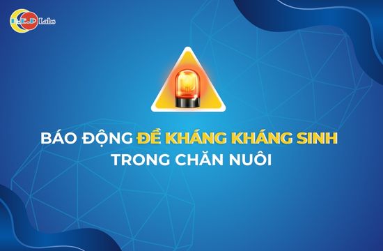 BÁO ĐỘNG ĐỀ KHÁNG KHÁNG SINH TRONG CHĂN NUÔI