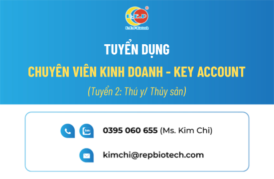 CHUYÊN VIÊN KINH DOANH - KEY ACCOUNT