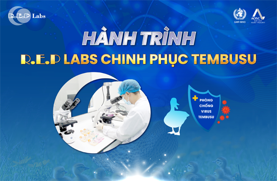 HÀNH TRÌNH R.E.P LABS CHINH PHỤC TEMBUSU
