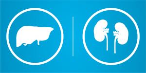 Giải độc Gan - Thận